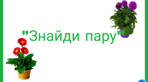 Дидактична гра "Знайди пару"  Кімнатні рослини