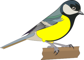030069bu-db59-334x238.png