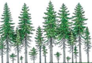 03006b1p-15eb-133x91.png