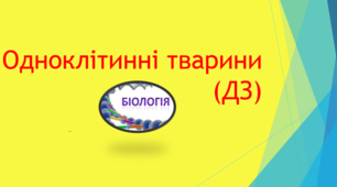 Найпростіші (ДЗ)