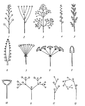 03006eaj-8cbf-352x439.png