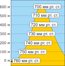 03006en8-7ab1-222x227.png