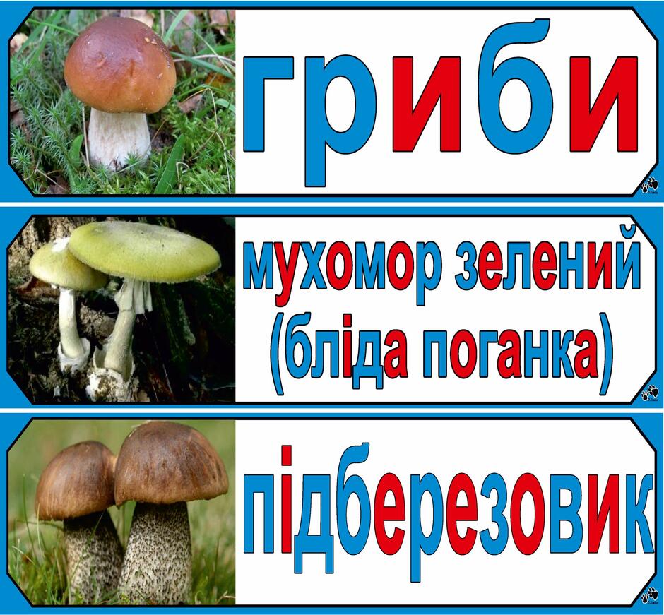 На зображенні може бути: текст