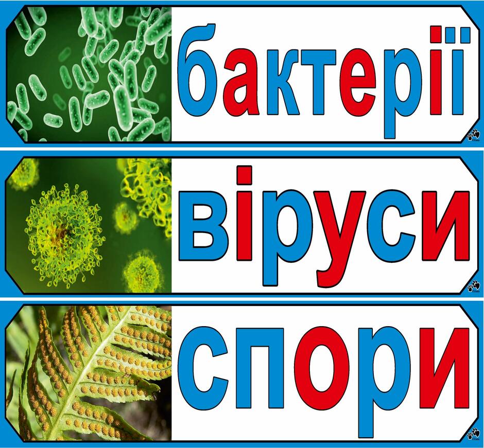 На зображенні може бути: текст