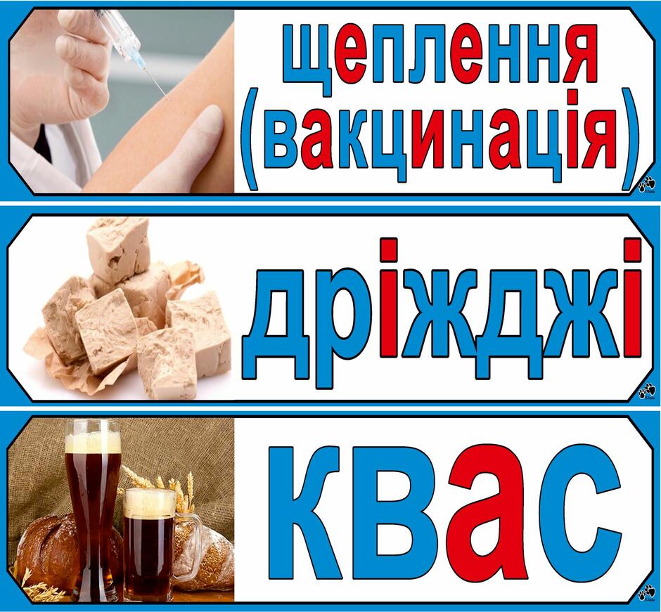 На зображенні може бути: 1 особа та текст