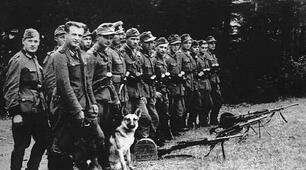 Національно-визвольний рух у 1944-1950 -ті рр. на території України.