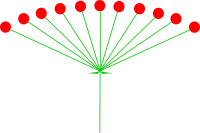03006fll-77fd-200x133.png