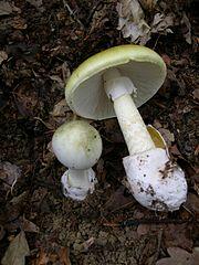 03006hb4-7c8a-180x240.jpg