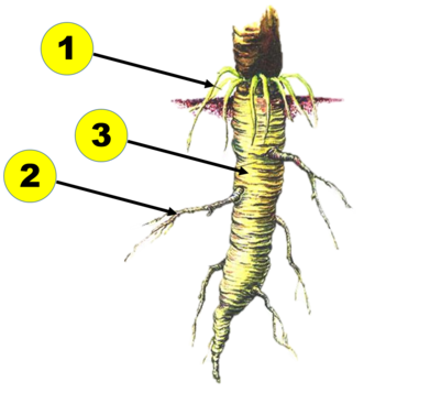 03006k9q-d631-940x885.png