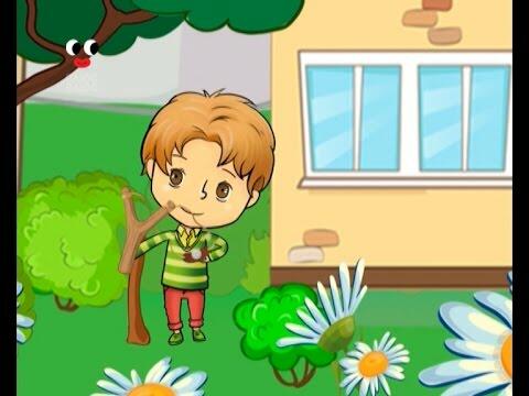 03006kzw-7c77-480x360.jpg