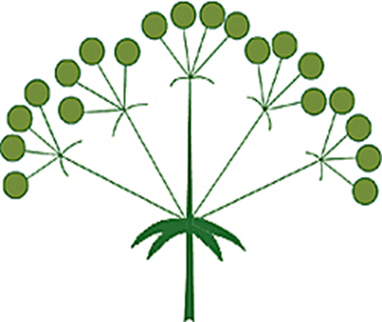 03006m68-c723-773x652.png