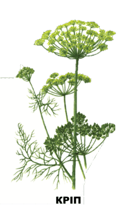 03006m6h-9e7d-685x1097.png