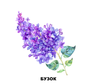 03006m6r-78ee-940x897.png