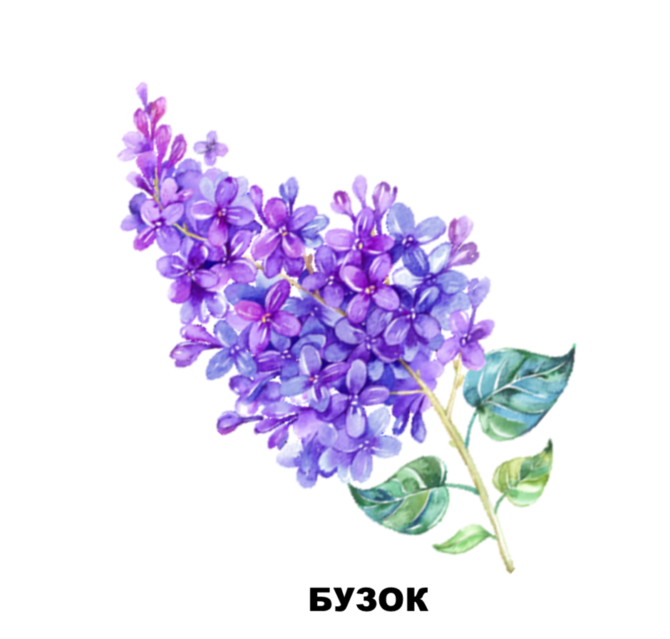 03006m6r-78ee-940x897.png
