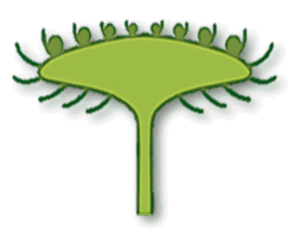 03006m7z-d362-930x750.png