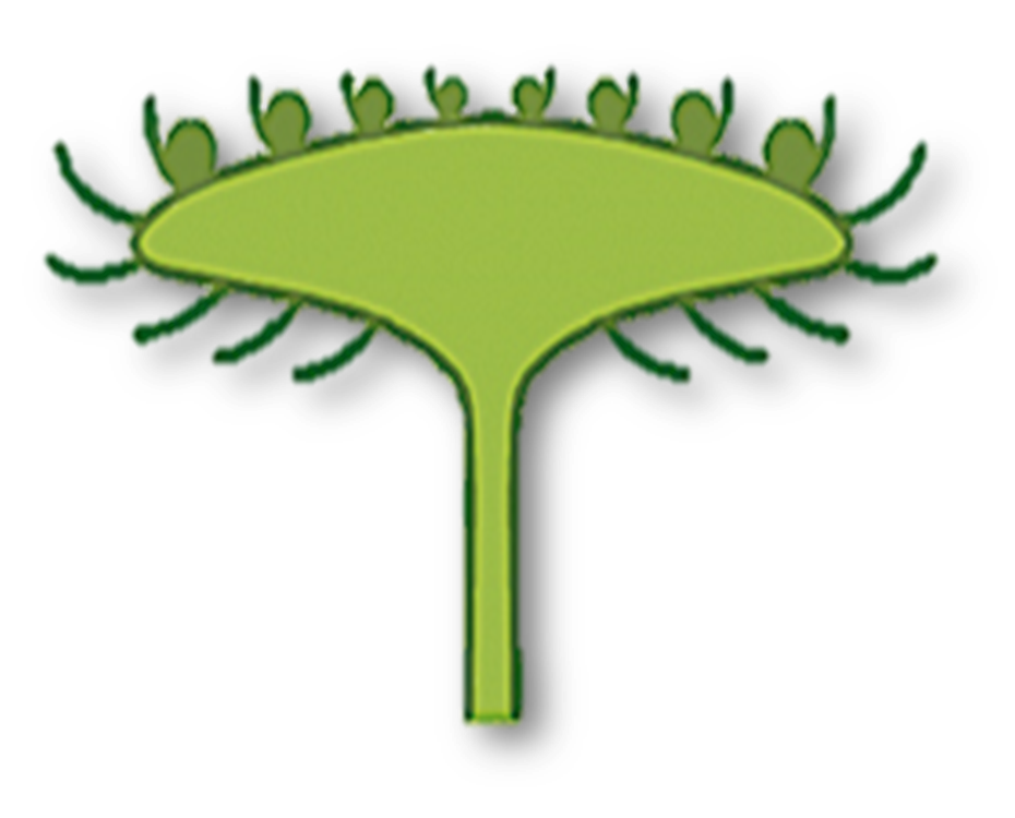03006m7z-d362-930x750.png