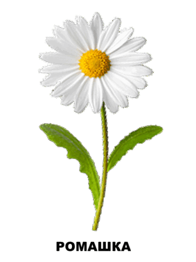 03006m85-f585-770x1026.png