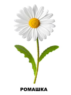 03006m85-f585-770x1026.png