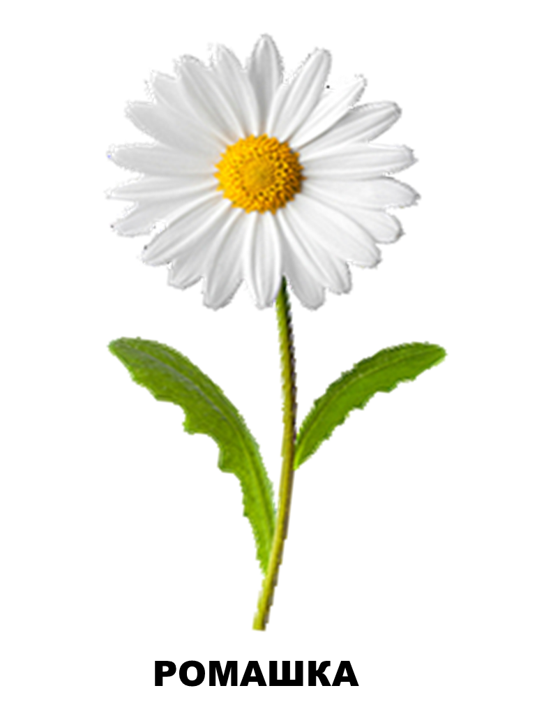 03006m85-f585-770x1026.png