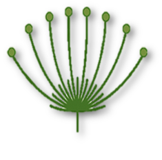 03006m8g-0894-777x771.png