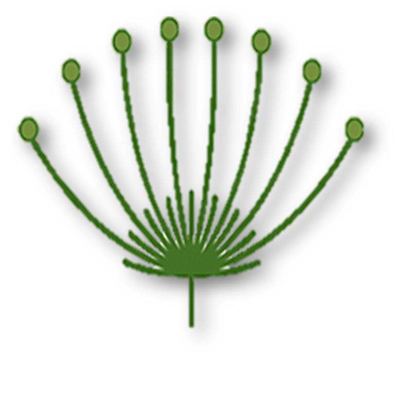03006m8g-0894-777x771.png