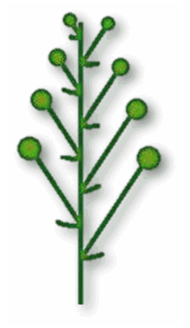 03006m8v-9723-526x907.png