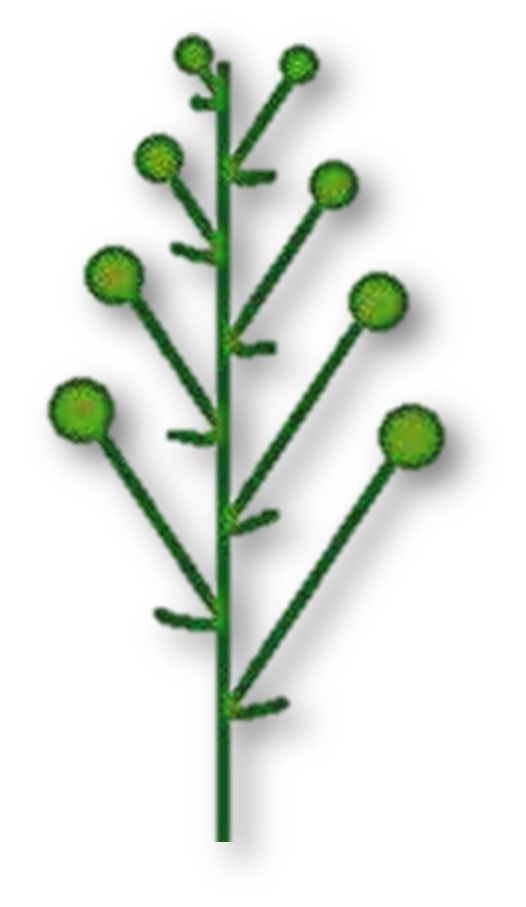 03006m8v-9723-526x907.png