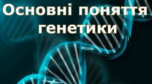 ОСНОВНІ ПОНЯТТЯ ГЕНЕТИКИ
