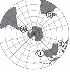 03006ntx-4804-233x237.png