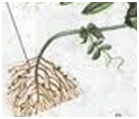 03006nwe-bb04-139x119.png