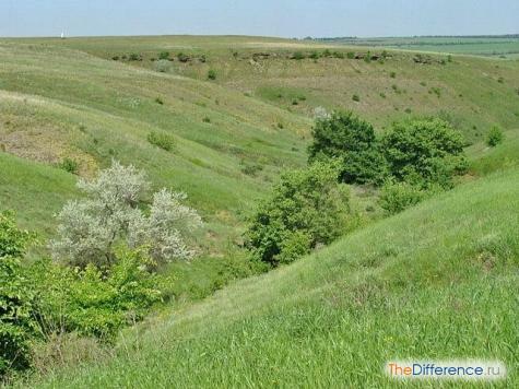 03006p1o-d76c-475x356.jpg