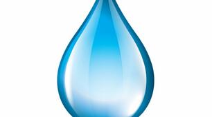 Розчини води в природі. Значення води.