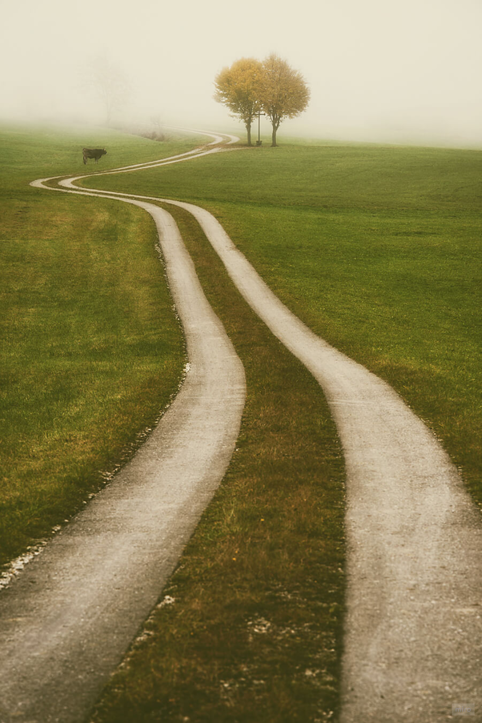03006sf3-754e-940x1409.png