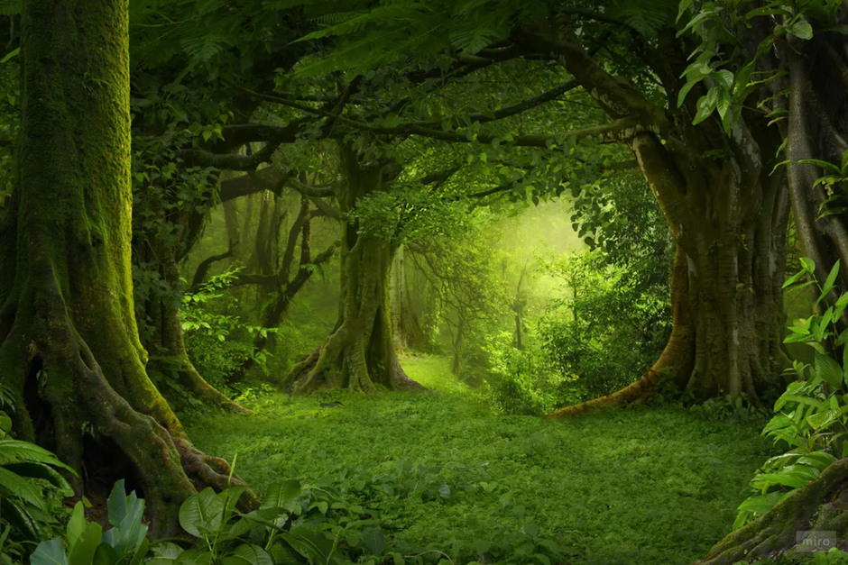 03006sf7-f0fe-940x627.png