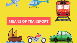 Transport