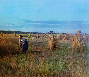 03006v22-0f08-300x262.jpg