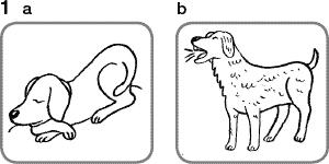 03006vm6-329b-300x150.png