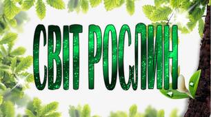 Картотека " Світ рослин"