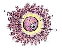030074ed-2866-204x157.jpg