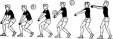 Техника приёма мяча в волейболе