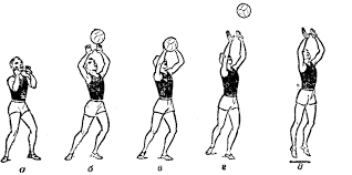Техника приёма мяча в волейболе