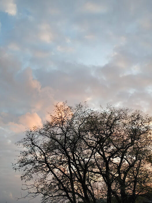 030078qy-018d-525x700.jpg