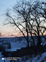 030078r4-8ef3-154x205.jpg