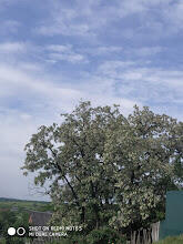 030078ra-edc6-165x220.jpg