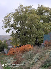 030078rd-aa2b-165x220.jpg