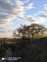 030078rg-9651-165x220.jpg