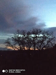 030078rq-db75-183x244.jpg