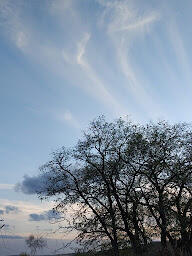 030078rx-fffc-192x256.jpg