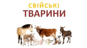 Картотека "Свійські тварини нашої країни"