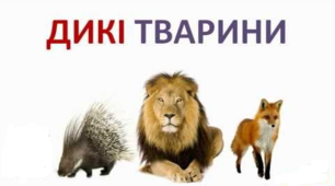Картотека  "Дикі тварини нашої країни"